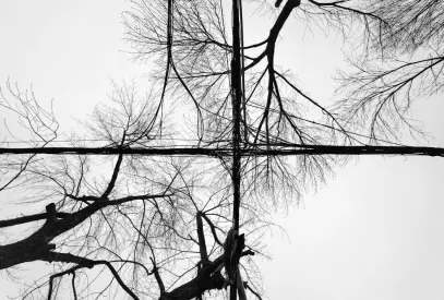 Billion Kasyno Aplikacja mobilna